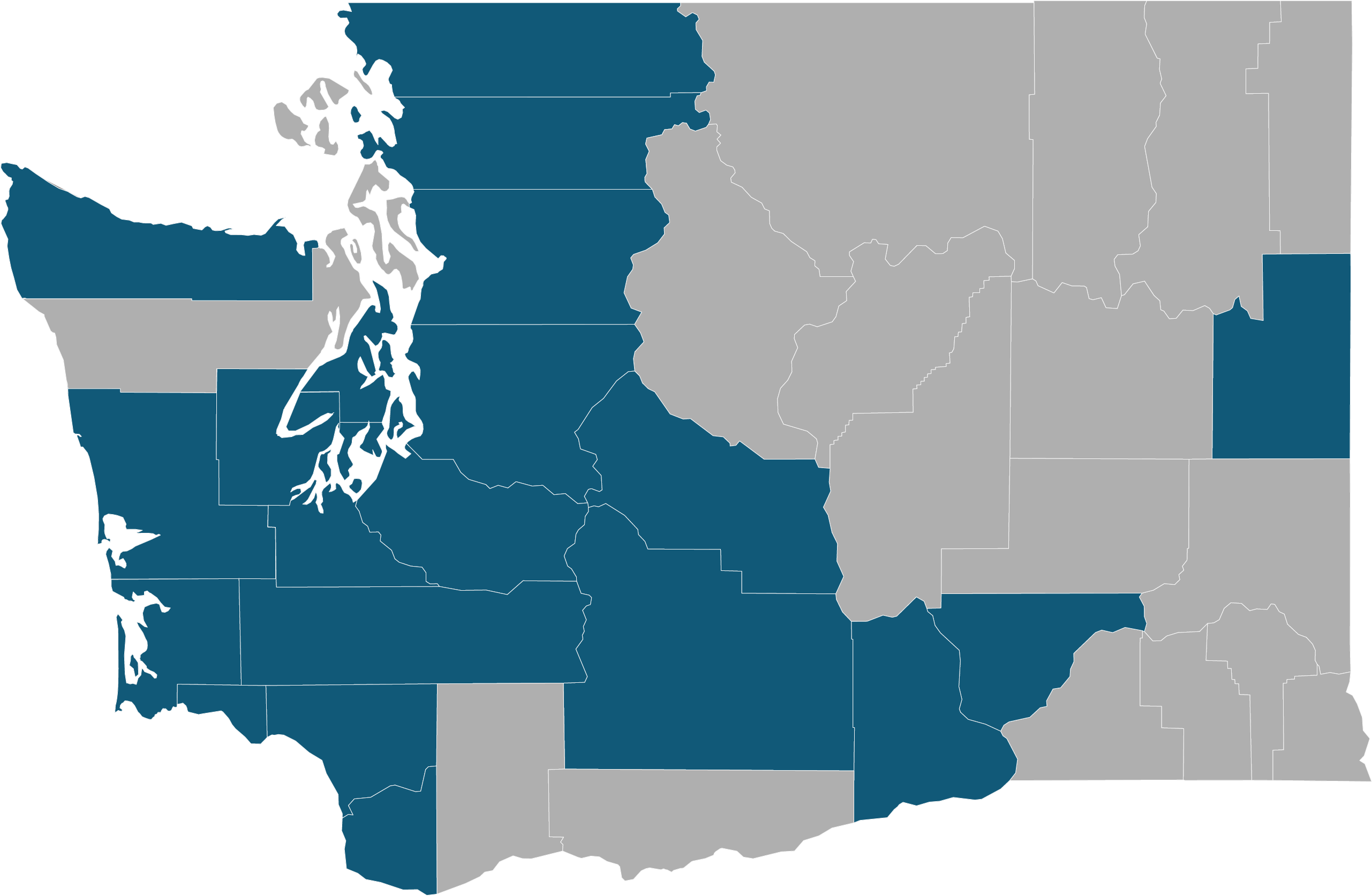 Washington state map with 20 counties colored in blue to represent Cancer Prevention and Control efforts.