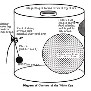 Diagram of Contents of the White Can